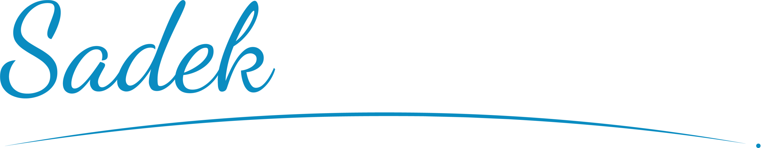 Logo Revised-07 (1)
